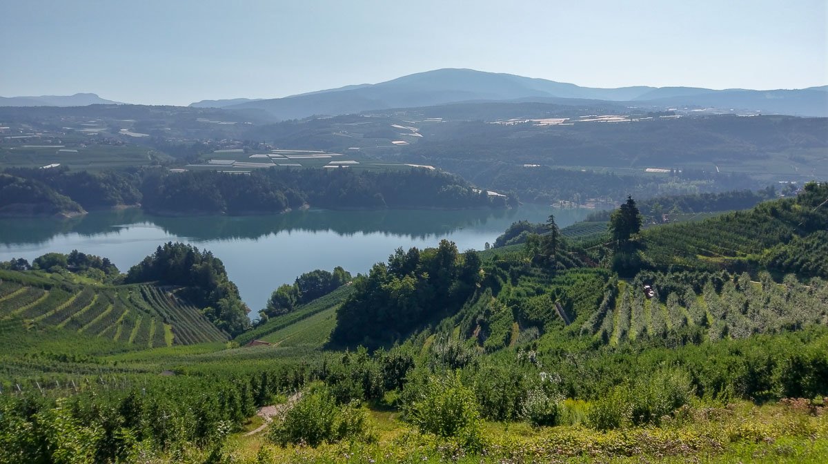 ArtyVans Vanlife Combo 1200 70 05