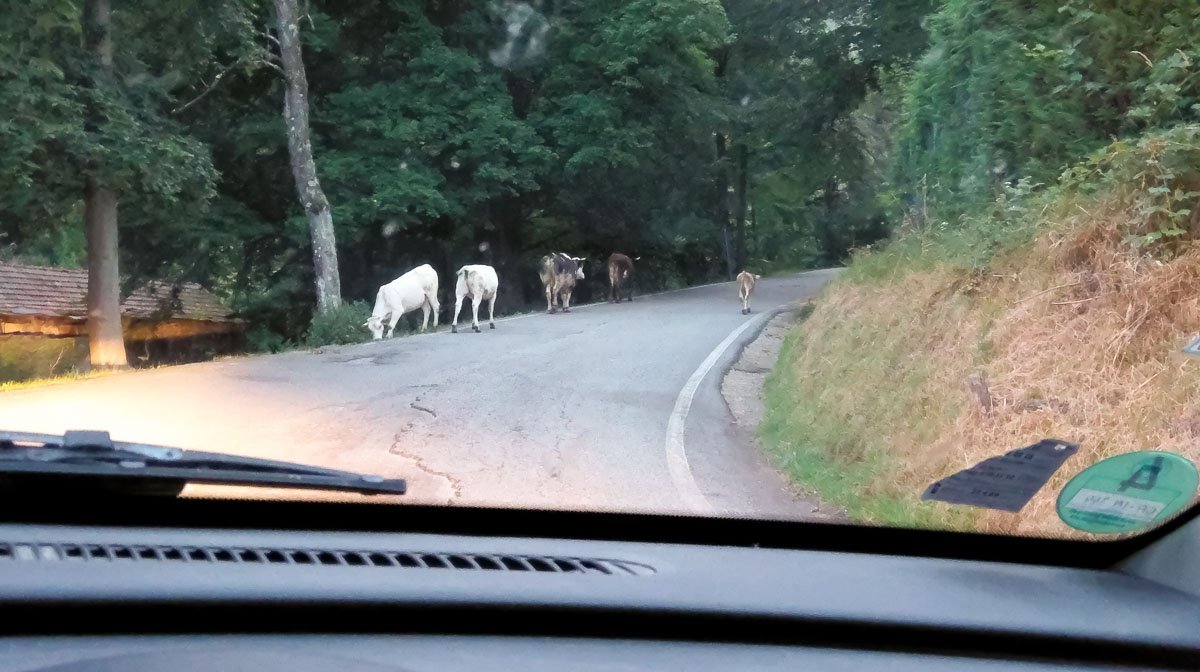 ArtyVans Vanlife Combo 1200 70 15