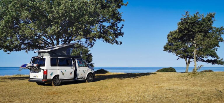 VW T6 Camper mit geöffnetem Hubdach auf einer Wiese vor zwei Bäumen am Meer.